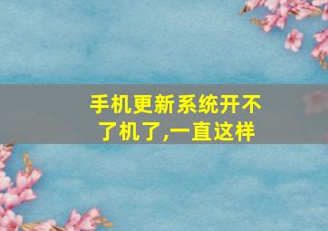 手机更新系统开不了机了,一直这样