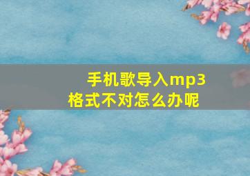 手机歌导入mp3格式不对怎么办呢