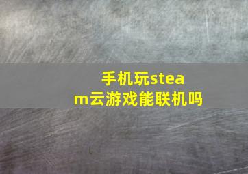 手机玩steam云游戏能联机吗