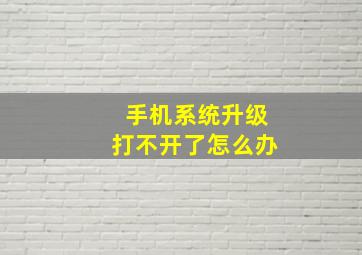 手机系统升级打不开了怎么办