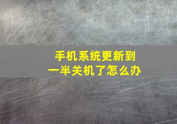 手机系统更新到一半关机了怎么办