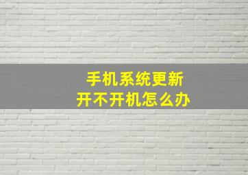 手机系统更新开不开机怎么办