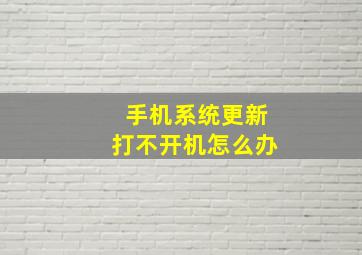 手机系统更新打不开机怎么办