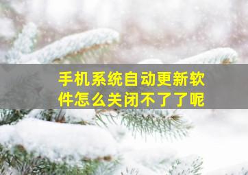 手机系统自动更新软件怎么关闭不了了呢