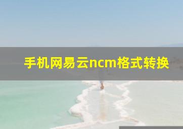 手机网易云ncm格式转换