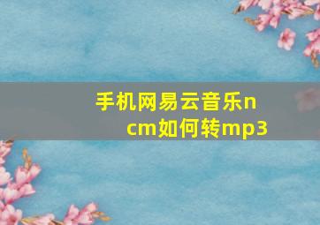 手机网易云音乐ncm如何转mp3