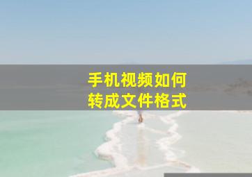 手机视频如何转成文件格式