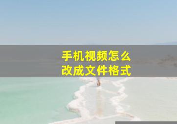 手机视频怎么改成文件格式