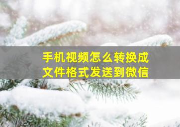 手机视频怎么转换成文件格式发送到微信