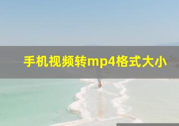 手机视频转mp4格式大小