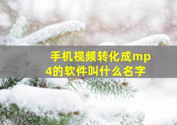 手机视频转化成mp4的软件叫什么名字