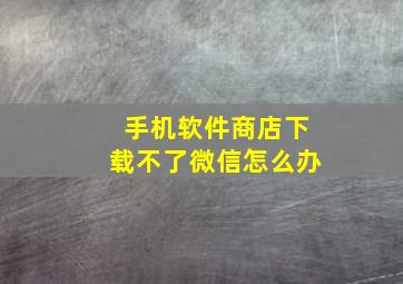 手机软件商店下载不了微信怎么办