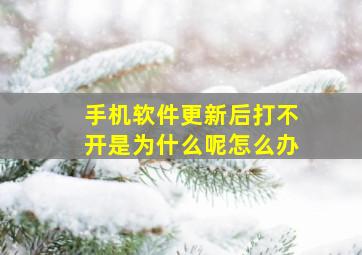 手机软件更新后打不开是为什么呢怎么办