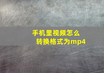 手机里视频怎么转换格式为mp4