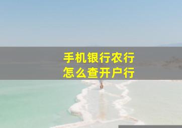 手机银行农行怎么查开户行