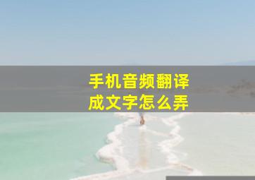 手机音频翻译成文字怎么弄