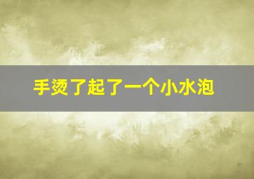 手烫了起了一个小水泡