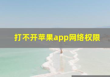 打不开苹果app网络权限