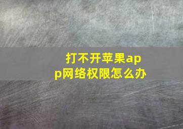 打不开苹果app网络权限怎么办