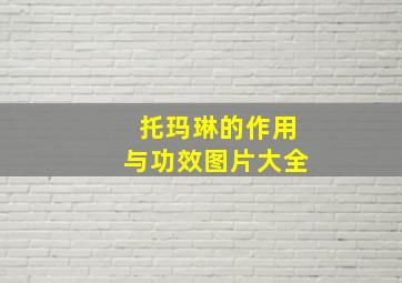 托玛琳的作用与功效图片大全