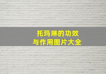 托玛琳的功效与作用图片大全