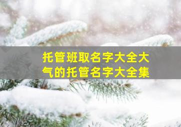 托管班取名字大全大气的托管名字大全集