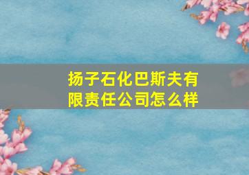 扬子石化巴斯夫有限责任公司怎么样