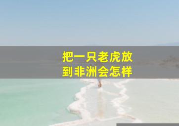 把一只老虎放到非洲会怎样