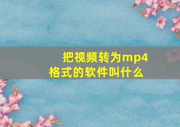 把视频转为mp4格式的软件叫什么