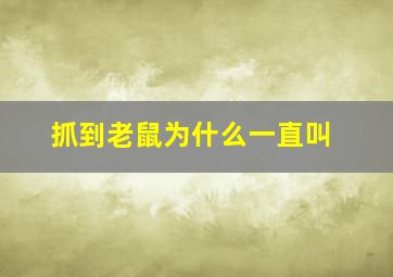 抓到老鼠为什么一直叫