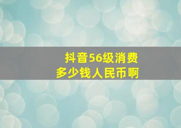 抖音56级消费多少钱人民币啊