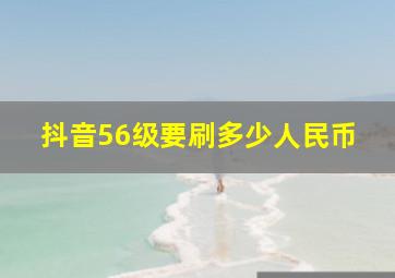 抖音56级要刷多少人民币