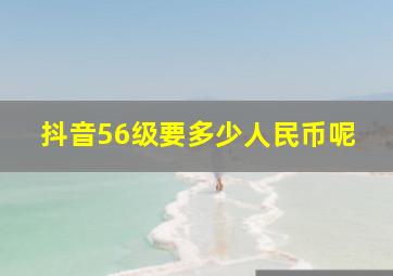 抖音56级要多少人民币呢