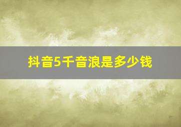 抖音5千音浪是多少钱