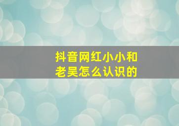 抖音网红小小和老吴怎么认识的