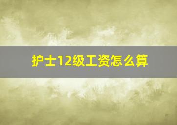 护士12级工资怎么算