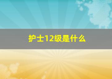 护士12级是什么