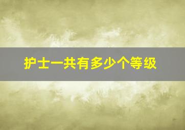 护士一共有多少个等级