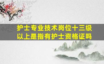 护士专业技术岗位十三级以上是指有护士资格证吗