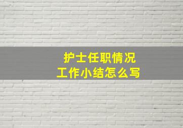 护士任职情况工作小结怎么写