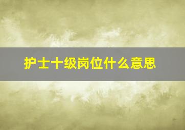 护士十级岗位什么意思