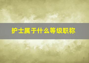 护士属于什么等级职称