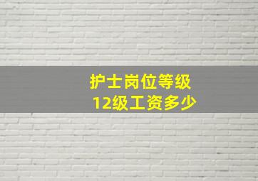 护士岗位等级12级工资多少