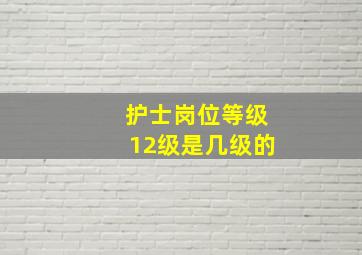 护士岗位等级12级是几级的