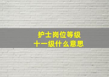 护士岗位等级十一级什么意思