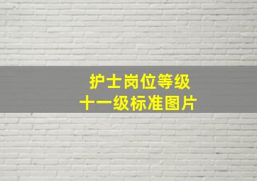 护士岗位等级十一级标准图片