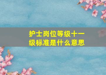 护士岗位等级十一级标准是什么意思