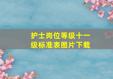 护士岗位等级十一级标准表图片下载