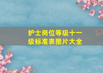 护士岗位等级十一级标准表图片大全