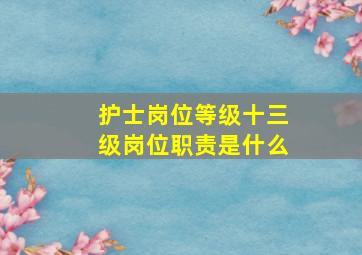 护士岗位等级十三级岗位职责是什么